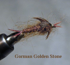 Gorman Golden Stone / McKenzie River fly fishing / McKenzie River fly fishing guide