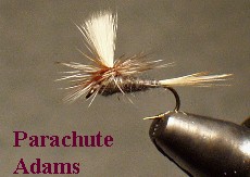 parachute adams / mckenzie river fly fishing / mckenzie river flies