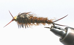G. G. Stonefly Nymph / Michael Gorman / McKenzie River Fishing Report