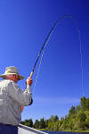 Jack Enbom applying the hurt / Rogue River Steelhead Fly Fishing / Rogue River Steelhead Fly Fishing Guide