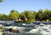 Rock? What rock? / Rogue RiverSteelhead Fly Fishing / Rogue River Steelhead Fly Fishing Guide