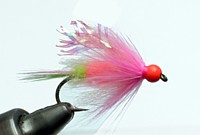 Gorman's Hot Bead Assassin / Siletz River Fishing Guide / Siletz River Fly Fishing Guide