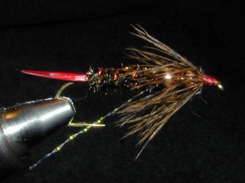 Gorman SteelieTrout Stonefly