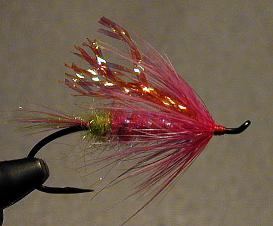 Gorman's Caballero / trout and steelhead fly fishing / McKenzie River fly fishing guide