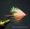 Veiled Assassin / Siletz River Steelhead / Siletz River Steelhead Fly Fishing Guide