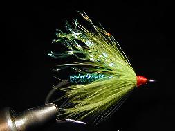 Gorman's Green King / trout and steelhead fly fishing / McKenzie River fly fishing guide